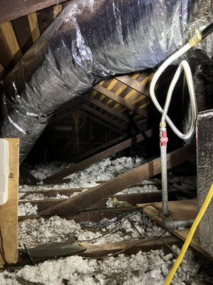 Huge attic clean out - This attic was very dirty and full of unwanted material. I removed the entire insulation and replaced it with new insulation. The customer was very happy. Huge attic clean out - This attic was very dirty and full of unwanted material. I removed the entire insulation and replaced it with new insulation. The customer was very happy.