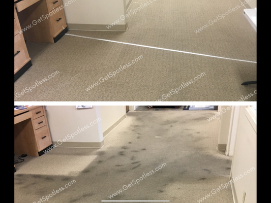 Commercial Cleaning Simplified!!! - Simplify Your Commercial Cleaning Needs with Spotless
Running a successful business demands your full attention, and the last thing you should worry about is the cleanliness and appearance of your commercial space. At Spotless, we specialize in comprehensive commercial cleaning services—including carpet, upholstery, stone, tile, and grout cleaning. With just one call, we take all your concerns away, allowing you to focus on what truly matters: growing your business.
Why Choose Spotless for Your Commercial Cleaning?
• Comprehensive Services: We handle all your cleaning needs under one roof. No more juggling multiple service providers—we’re your single solution for a spotless workplace.
• Expertise and Experience: Our skilled technicians are trained in the latest cleaning techniques and use state-of-the-art equipment to deliver exceptional results across all flooring & fabric surfaces.
• Customized Solutions: We understand that every business is unique. We’ll work with you to develop a cleaning plan tailored to your specific needs and schedule.
• Enhanced Professional Image: A clean and well-maintained environment not only promotes health and safety but also leaves a lasting impression on clients and employees alike.
• Peace of Mind: With Spotless on your side, you can rest easy knowing that your facility is in expert hands. We prioritize your satisfaction and strive for excellence in every service we provide.
Our Commercial Cleaning Services
• Carpet Cleaning: Remove deep-seated dirt, stains, and allergens to extend the life of your carpets and create a healthier workspace.
• Upholstery Cleaning: Revive your office furniture, waiting areas, and conference rooms with our specialized upholstery cleaning services.
• Stone, Tile, and Grout Cleaning: Restore the original shine and appearance of your hard surfaces. Our process effectively eliminates grime, mold, and mildew, enhancing both aesthetics and hygiene.
Experience the Spotless Difference
At Spotless, we’re more than just a cleaning company—we’re your partners in maintaining a pristine business environment. Our commitment to exceptional service means you can trust us to handle the details, so you don’t have to.
• Free, On-Site, No-Obligation Consultation: We offer personalized assessments to understand your needs fully and provide transparent recommendations.
• Flexible Scheduling: We work around your business hours to minimize disruptions, offering evening and weekend services as needed.
• Transparent Pricing: With a minimum charge of $250 per service visit, we ensure that every job receives the dedicated time and attention it deserves.
One Call Takes Care of It All
Simplify your operations by consolidating your cleaning services with Spotless. With one call, you eliminate the hassle of coordinating multiple vendors, allowing you to focus on what you do best.
Ready to Elevate Your Business Environment?
Contact us today to schedule your free, no-obligation consultation. Let Spotless take care of your commercial cleaning needs, so you can enjoy a spotless facility and peace of mind. Commercial Cleaning Simplified!!! - Simplify Your Commercial Cleaning Needs with Spotless
Running a successful business demands your full attention, and the last thing you should worry about is the cleanliness and appearance of your commercial space. At Spotless, we specialize in comprehensive commercial cleaning services—including carpet, upholstery, stone, tile, and grout cleaning. With just one call, we take all your concerns away, allowing you to focus on what truly matters: growing your business.
Why Choose Spotless for Your Commercial Cleaning?
• Comprehensive Services: We handle all your cleaning needs under one roof. No more juggling multiple service providers—we’re your single solution for a spotless workplace.
• Expertise and Experience: Our skilled technicians are trained in the latest cleaning techniques and use state-of-the-art equipment to deliver exceptional results across all flooring & fabric surfaces.
• Customized Solutions: We understand that every business is unique. We’ll work with you to develop a cleaning plan tailored to your specific needs and schedule.
• Enhanced Professional Image: A clean and well-maintained environment not only promotes health and safety but also leaves a lasting impression on clients and employees alike.
• Peace of Mind: With Spotless on your side, you can rest easy knowing that your facility is in expert hands. We prioritize your satisfaction and strive for excellence in every service we provide.
Our Commercial Cleaning Services
• Carpet Cleaning: Remove deep-seated dirt, stains, and allergens to extend the life of your carpets and create a healthier workspace.
• Upholstery Cleaning: Revive your office furniture, waiting areas, and conference rooms with our specialized upholstery cleaning services.
• Stone, Tile, and Grout Cleaning: Restore the original shine and appearance of your hard surfaces. Our process effectively eliminates grime, mold, and mildew, enhancing both aesthetics and hygiene.
Experience the Spotless Difference
At Spotless, we’re more than just a cleaning company—we’re your partners in maintaining a pristine business environment. Our commitment to exceptional service means you can trust us to handle the details, so you don’t have to.
• Free, On-Site, No-Obligation Consultation: We offer personalized assessments to understand your needs fully and provide transparent recommendations.
• Flexible Scheduling: We work around your business hours to minimize disruptions, offering evening and weekend services as needed.
• Transparent Pricing: With a minimum charge of $250 per service visit, we ensure that every job receives the dedicated time and attention it deserves.
One Call Takes Care of It All
Simplify your operations by consolidating your cleaning services with Spotless. With one call, you eliminate the hassle of coordinating multiple vendors, allowing you to focus on what you do best.
Ready to Elevate Your Business Environment?
Contact us today to schedule your free, no-obligation consultation. Let Spotless take care of your commercial cleaning needs, so you can enjoy a spotless facility and peace of mind.