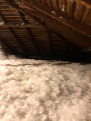 BeverlyWood insulation project - This was an attic job that we completed today in Beverlywood. 1450sf of old batts insulation mixed with rodent droppings. We came and removed all the insulation and rodent proofed the attic so rats will never come back. Followed by installing New R38 blown in insulation. BeverlyWood insulation project - This was an attic job that we completed today in Beverlywood. 1450sf of old batts insulation mixed with rodent droppings. We came and removed all the insulation and rodent proofed the attic so rats will never come back. Followed by installing New R38 blown in insulation.