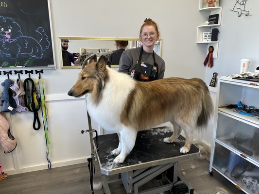 Meet your groomer! - Im Zoe! A Nationally Certified Master groomer who has worked in cherry hill, mays landing, and Philadelphia for the last 11+ years. Loving the south jersey+Philly pups is my passion Meet your groomer! - Im Zoe! A Nationally Certified Master groomer who has worked in cherry hill, mays landing, and Philadelphia for the last 11+ years. Loving the south jersey+Philly pups is my passion