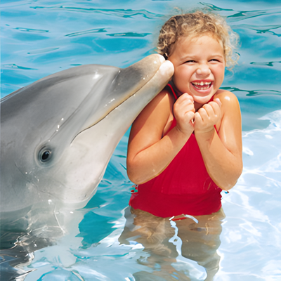 Fun Entertainment- Excursions - Prefer something more private or family-focused? We’ll tailor your day on the water to your vibe—quiet coves for snorkeling, kid‑friendly sandbars with gentle shallows, or a romance‑ready sunset cruise with a chilled bottle waiting. With priority scheduling, concierge-backed backups, and seamless door‑to‑dock transfers, you get all the freedom of the open sea without the planning stress. All you need to bring is your sense of adventure... Fun Entertainment- Excursions - Prefer something more private or family-focused? We’ll tailor your day on the water to your vibe—quiet coves for snorkeling, kid‑friendly sandbars with gentle shallows, or a romance‑ready sunset cruise with a chilled bottle waiting. With priority scheduling, concierge-backed backups, and seamless door‑to‑dock transfers, you get all the freedom of the open sea without the planning stress. All you need to bring is your sense of adventure...