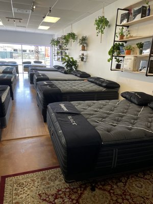 Beautyrest Black Series - Beautyrest black mattress displayed at Mattress pros Culver City we can order any Serta or Beautyrest mattress Beautyrest Black Series - Beautyrest black mattress displayed at Mattress pros Culver City we can order any Serta or Beautyrest mattress