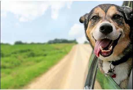 Subscribe to our email list and receive $15 off - Subscribe to our email list and receive $15 off your next roadside service repair. Visit us at https://citizensroadside.com/ Subscribe to our email list and receive $15 off - Subscribe to our email list and receive $15 off your next roadside service repair. Visit us at https://citizensroadside.com/