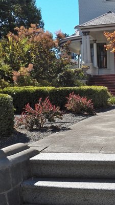 Landscaping projects - We have completed hundreds of jobs. Landscaping projects - We have completed hundreds of jobs.