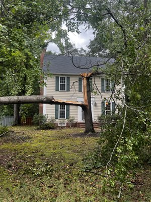 Emergency Tree Removal - Customer had a split tree that needed to be removed completely, with this down tree we ran into the tedious task of removing around a car Emergency Tree Removal - Customer had a split tree that needed to be removed completely, with this down tree we ran into the tedious task of removing around a car