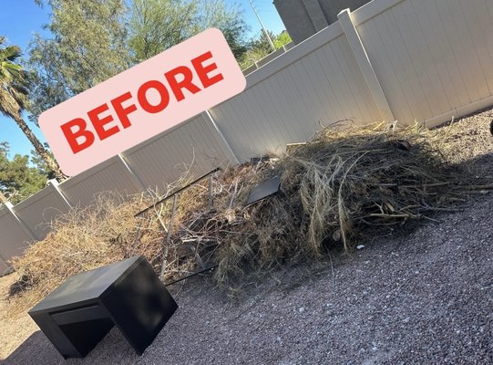 Green waste - Customer called need yard waste & couple other items remove Green waste - Customer called need yard waste & couple other items remove