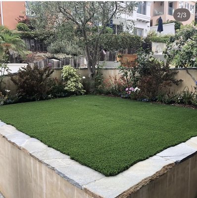 Manhattan beach job - Brand new artificial turf after pesky raccoon visit Manhattan beach job - Brand new artificial turf after pesky raccoon visit