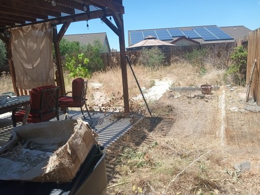 yard clean up - You're cleaning up for customer we'd pulling and removal