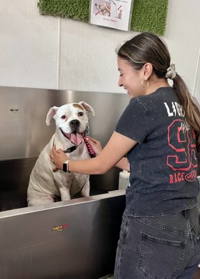 Happy Fur-Customers! - At Selfie Dog Wash every dog and owner leaves happy! Happy Fur-Customers! - At Selfie Dog Wash every dog and owner leaves happy!