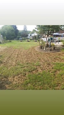 Grub damage renovation - Before and after renovation, due to grub damage. Call us, for all your lawn care needs. Let us take care of your lawn before its to late.