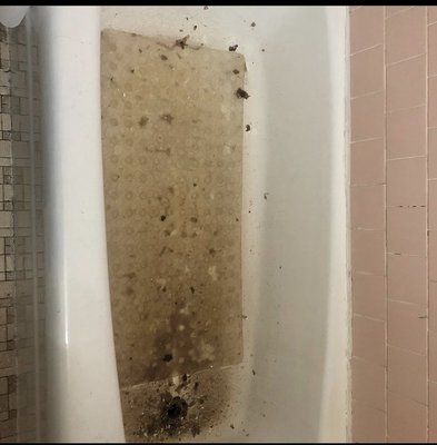 Before and afters of a studio apartment. - This is a studio apartment I did I’m Framingham, MA. Before and afters of a studio apartment. - This is a studio apartment I did I’m Framingham, MA.