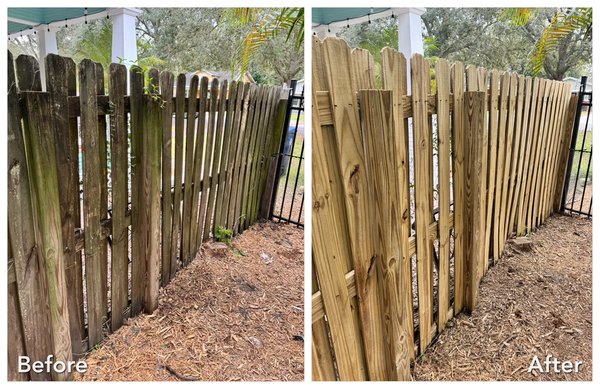 August 2023 Fence restoration - Neglected fence with years of dirt and grime, restored with appropriate solution applied and light pressure to remove all growth. August 2023 Fence restoration - Neglected fence with years of dirt and grime, restored with appropriate solution applied and light pressure to remove all growth.