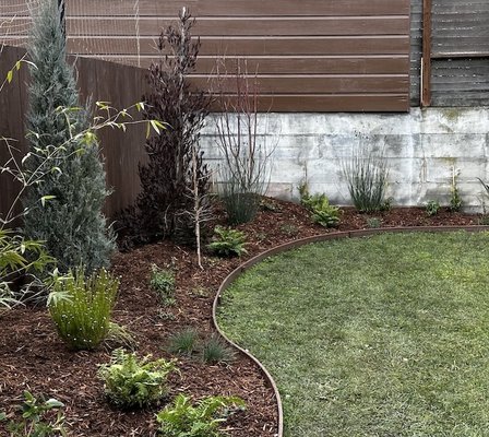 Replace lawn areas with new garden - We partnered with the customers to come up with a new garden bordering the yard. This will grow in to provide privacy, shade, color and beauty. Replace lawn areas with new garden - We partnered with the customers to come up with a new garden bordering the yard. This will grow in to provide privacy, shade, color and beauty.