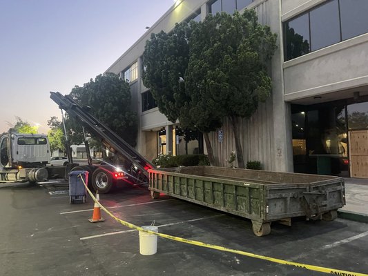 Commercial dumpster rental 10,20,30,40 yards - 1- 30 days dumpster rental period for commercial service 
Affordable service 
We committed to recycling 75% or more