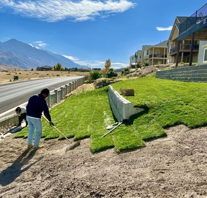 Backyard sodding - A fully new house that needed sod for their backyard. We deliver according to their request to make sure they got the look they wanted for their new home. Backyard sodding - A fully new house that needed sod for their backyard. We deliver according to their request to make sure they got the look they wanted for their new home.
