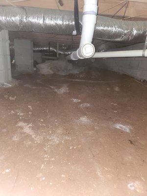 Crawlspace Moisture Barrier - This crawlspace needed a moisture barrier and a sanitation to protect the homes foundation.