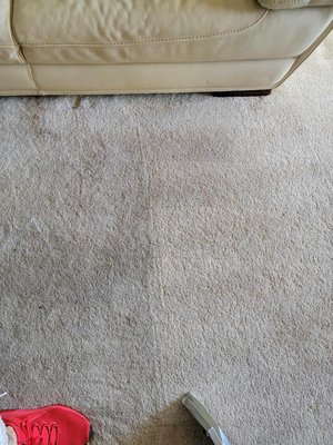 Carpet cleaning - We specialize in all different types of carpets. We have a mix of commercial & residential clients. Carpet cleaning - We specialize in all different types of carpets. We have a mix of commercial & residential clients.