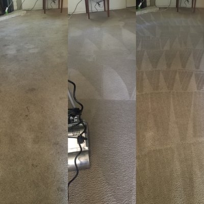 True Deep Carpet Cleaning - We clean the carpet better than anyone else in this area. Our three-step method has proven to be the best over time. We buy the best equipment and only use environmentally friendly solutions to clean your carpet. Let me show you what is true deep cleaning.