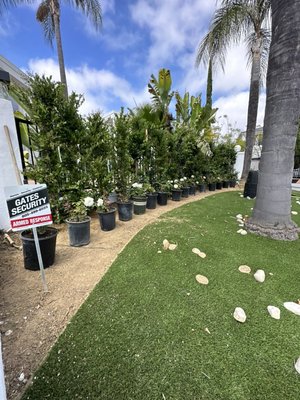 Landscape projects - We specialize in new landscape for your yard from big to small projects we get it done. Not only will it make you’re home beautiful put can also increase the value. We get everything done from irrigation too planting etc you name it give us a call or text for you’re project
