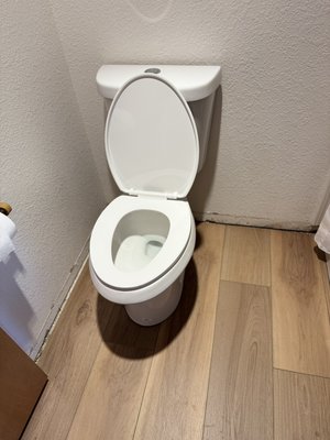 Toilet replacements Olympia - We recently completed a project replacing three outdated toilets in this home. Each old unit was carefully removed and disposed of, and we inspected and cleaned the existing flanges to ensure a proper fit. We then installed three new, customer-selected toilets with fresh wax rings, bolts, and supply lines for secure, leak-free connections. Each toilet was set, leveled, caulked, and thoroughly tested. The homeowner is thrilled with the updated look and improved performance throughout their bathrooms.