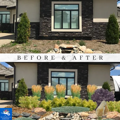 Landscape Redesign - Before and After - Even if you are starting from the ground up, or working with an existing yard a stress-free landscape redesign is possible Your specific needs, personality, lifestyle and objectives of your property are all carefully considered so that your perfect landscape reflects these.   

Does the font of your property look dated?
How about your backyard?
Do flowerbeds and trees appear out of place or overgrown?
When you drive to your property, do you say, "I need to do ______ with the yard?"
Do you find yourself wishing that you could spend more time outside your home?

If you answered “yes” to two or more of the above questions, let The Wheelbarrow Gardener redesign your landscapes!