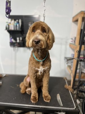 I can’t get enough of these faces - Msg or txt me at 541.914.7685 for appointments I can’t get enough of these faces - Msg or txt me at 541.914.7685 for appointments