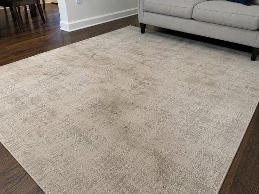 Area Rug Cleaning - This rug had accumulated everyday dirt, traffic buildup, and embedded debris that dulled its appearance over time. Using our low-moisture DryMaster cleaning system, we safely removed soil and restored the rug’s color and freshness without over-wetting.