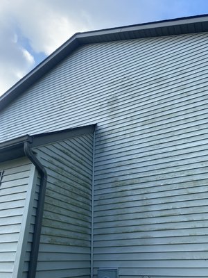 Algae Removal Services - Our Algae Removal Services use a soft wash process to softly remove all green algae, Mold, Mildew or any other organic stains on the surface!