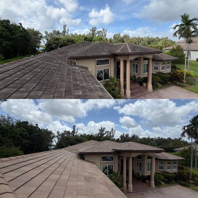 Roof cleanings & More - 100% safe roof cleaning. Roofer recommended service. 
From roofs to sidewalks we do it all. Book us for your next exterior cleaning service!