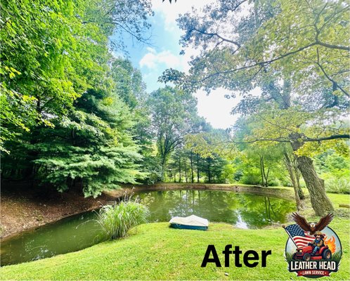 Brush/Yard Clean Up - This yard was overgrown with brush. The pond was brought back to life, after removal of small trees and brush. Owners are now able to sit on their deck and enjoy the view of the pond. Brush/Yard Clean Up - This yard was overgrown with brush. The pond was brought back to life, after removal of small trees and brush. Owners are now able to sit on their deck and enjoy the view of the pond.