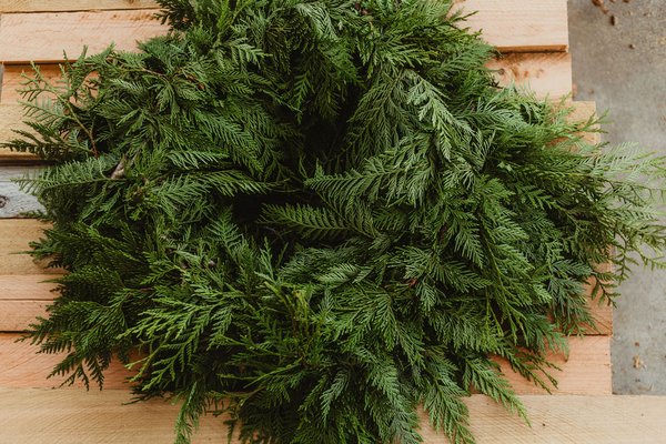 Last few days of the 2025 Season - It's the last few days of the 2025 season at the farm.  We still have plenty of beautiful trees, wreaths, garland, decor, and tree farm hoodies and beanies for purchase.  All garland is 1/2 off while supplies last.  Looking forward to your visit!