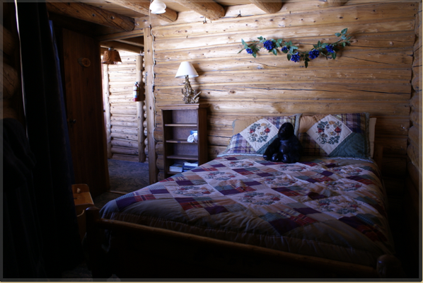Rooms with Shared Bath - Call us to book your room at Allenspark Lodge B&B today!