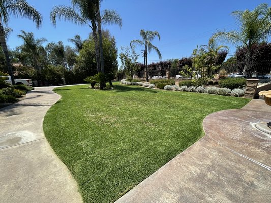 LAWN CARE - My team specializes in making your garden look great.