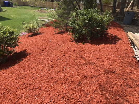 5 yard mulch job. - Joshua services installed 5 yards of new mulch! 5 yard mulch job. - Joshua services installed 5 yards of new mulch!