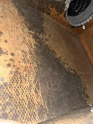 plenum box cleaning - the plenum box is the box that connecting all the air ducts together (the main air transfer), once the plenum  is infected it's effecting your indoor air quality, highly recommended to get it inspected at least once a year to avoid damage