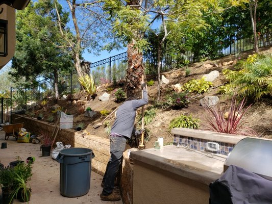 Landscaping and Construction - this work was done in a slop side of house , with big bolders , some plants and irrigation