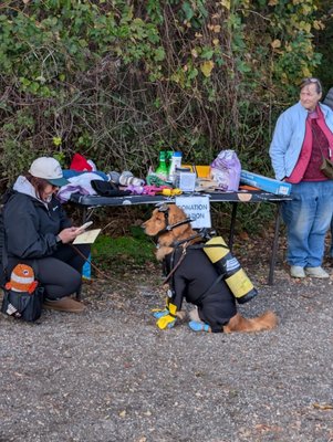 community spotlights - Paws-itively Awesome Community Spotlight: Canine Fun in Northeast Ohio dog-friendly events that brought the community together  to name a few: Stow annual paw fest fun day at Silver Springs Dog Park, the hilarious costumed competition at the Howl-O-Ween dog costume contest with our friends b.a.r.c., and the unique, after-hours experience of Bark After Dark at the Akron Zoo, stark county balloon festival, Springfield township local event concert on the lake, Canton Pickelfest......