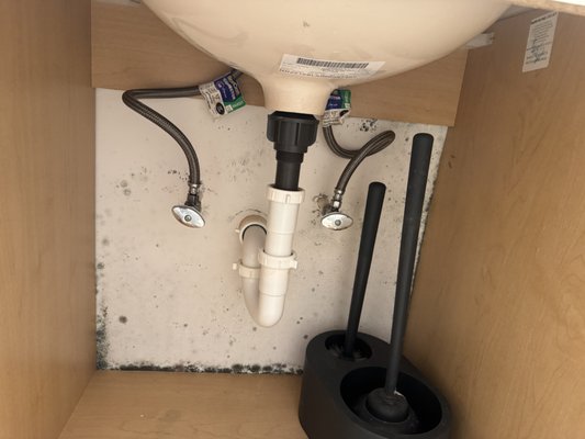 Mold Remediation Bathroom - Mold remediation of guest bathroom Mold Remediation Bathroom - Mold remediation of guest bathroom