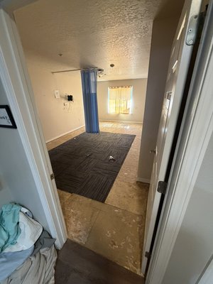 Glue Down Flooring - This is a Commercial Room Turnover. This project involved Demo of the existing Glue Down Flooring Surface Preparation and Installation of the new Flooring Tiles. Glue Down Flooring - This is a Commercial Room Turnover. This project involved Demo of the existing Glue Down Flooring Surface Preparation and Installation of the new Flooring Tiles.