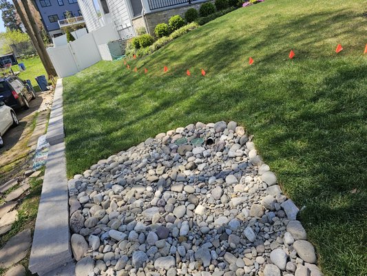 Retaining wall & Drainage system - This project involved the construction of a retaining wall along the edge of the property to regrade and create a slope toward the dry bed. The dry bed was created to slow down the water flow from the underground downspout extensions. The result is a functional landscape that enhances drainage while improving the overall aesthetics of the yard. Retaining wall & Drainage system - This project involved the construction of a retaining wall along the edge of the property to regrade and create a slope toward the dry bed. The dry bed was created to slow down the water flow from the underground downspout extensions. The result is a functional landscape that enhances drainage while improving the overall aesthetics of the yard.