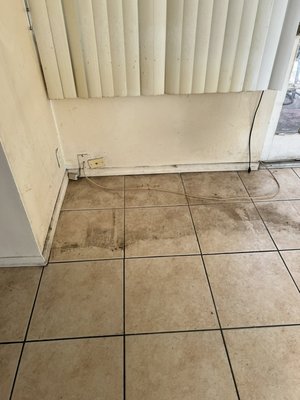 Move out clean - Move out clean. Only floors and some floor boards. Walls are getting painted