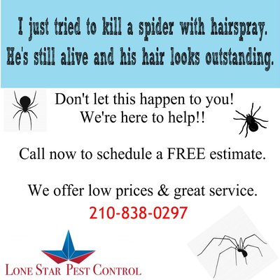 BUG BUG AND MORE BUGS WE CAN HELP - we are family owned and operated.  we have the best prices around and we have the experience to solve your problems  . you can check use out with the BBB . or go too lonestarpestcontroltx.com and read the website  .