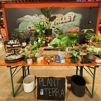 Plant Terra Is At Castro Valley Marketplace ! - To serve you better we are now also at The Castro Valley Marketplace every day until the 24th! At 3295 Castro Valley Blvd., Castro Valley, CA, 94546  We have an amazing selection of plants, pots, plant care products, and gorgeous gift bags !! We are open at the shop and The Castro Valley Marketplace through the Holidays including Christmas!