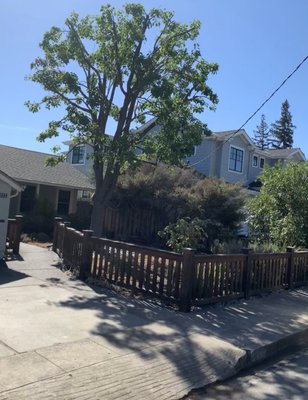 San Carlos project. - San Carlos project. San Carlos project. - San Carlos project.