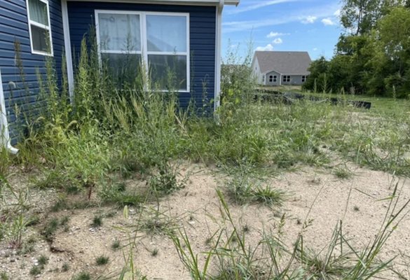Weed abatement and tree trimming - I offer weed abatement and tree trimming services. Do you need any help becoming fire compliant? I have helped many of my customers become compliant with the local guidelines in their area. Weed abatement and tree trimming - I offer weed abatement and tree trimming services. Do you need any help becoming fire compliant? I have helped many of my customers become compliant with the local guidelines in their area.