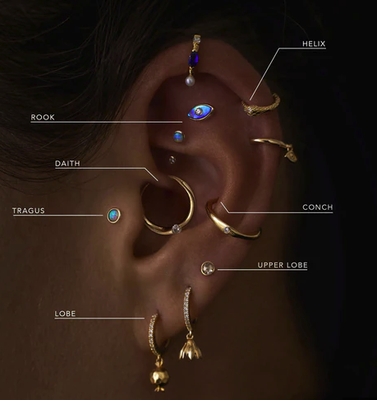 Pacific Island Ink Piercing - These piercings were done by Tristan Reyes, a first time Piercer, but fifteen year Tattoo Artist. He was trained under the tutelage of Senior Piercer - Kimberly Rowan (Owner of Finder's Keepers Body Piercing in Chesapeake and Norfolk, VA). Within his month long crash course apprenticeship with Kimberly, he has gained leaps and bounds of knowledge in Piercing, its aftercare, Professionalism and Confidence. With your help and support he will be continuing his journey toward becoming one of Hawaii's most trusted, skilled, and reliable Piercers. Certain piercings available from Tristan will be at a discounted rate! Book an appointment or go and see him for a consultation. Pacific Island Ink Piercing - These piercings were done by Tristan Reyes, a first time Piercer, but fifteen year Tattoo Artist. He was trained under the tutelage of Senior Piercer - Kimberly Rowan (Owner of Finder's Keepers Body Piercing in Chesapeake and Norfolk, VA). Within his month long crash course apprenticeship with Kimberly, he has gained leaps and bounds of knowledge in Piercing, its aftercare, Professionalism and Confidence. With your help and support he will be continuing his journey toward becoming one of Hawaii's most trusted, skilled, and reliable Piercers. Certain piercings available from Tristan will be at a discounted rate! Book an appointment or go and see him for a consultation.
