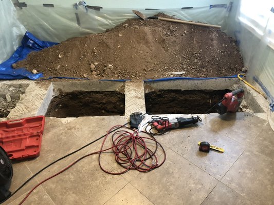 Sewer Line Repair - Large tree roots were affecting sewer line and causing improper drainage and back-ups.