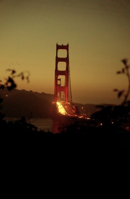 San Fransisco Shoot - Had a Little personal shoot we wanted to share!