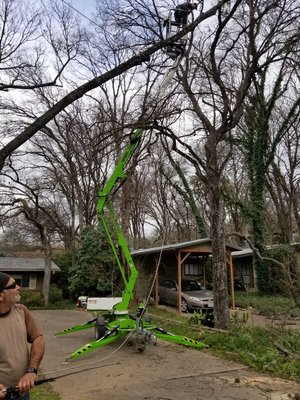 Tree pruning - all this projects were finished having successfully, some were finished at the same day other took three day Tree pruning - all this projects were finished having successfully, some were finished at the same day other took three day