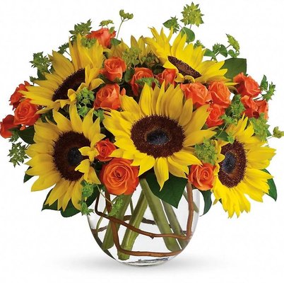 Fall Flowers - Fall Dome Details
Bright and beautiful bubble bowl of sunflowers and spray roses. Fall Flowers - Fall Dome Details
Bright and beautiful bubble bowl of sunflowers and spray roses.